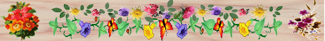 UlrikeHomebanner2