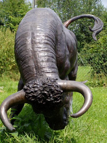 Stier Lena am 16.05.2006 um 10:35 - 3740g - 55 cm gro